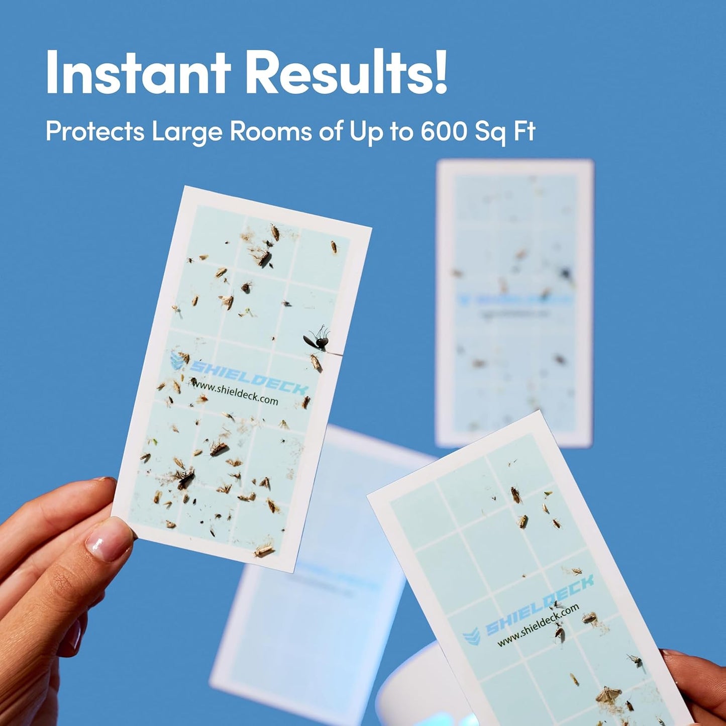 Flying Insect Trap Plug in - Indoor Fruit Fly, Gnat, and Mosquito Trap - Bug Catcher Traps with UV Light for House Indoors (1 Device + 5 Refills) (Refills)