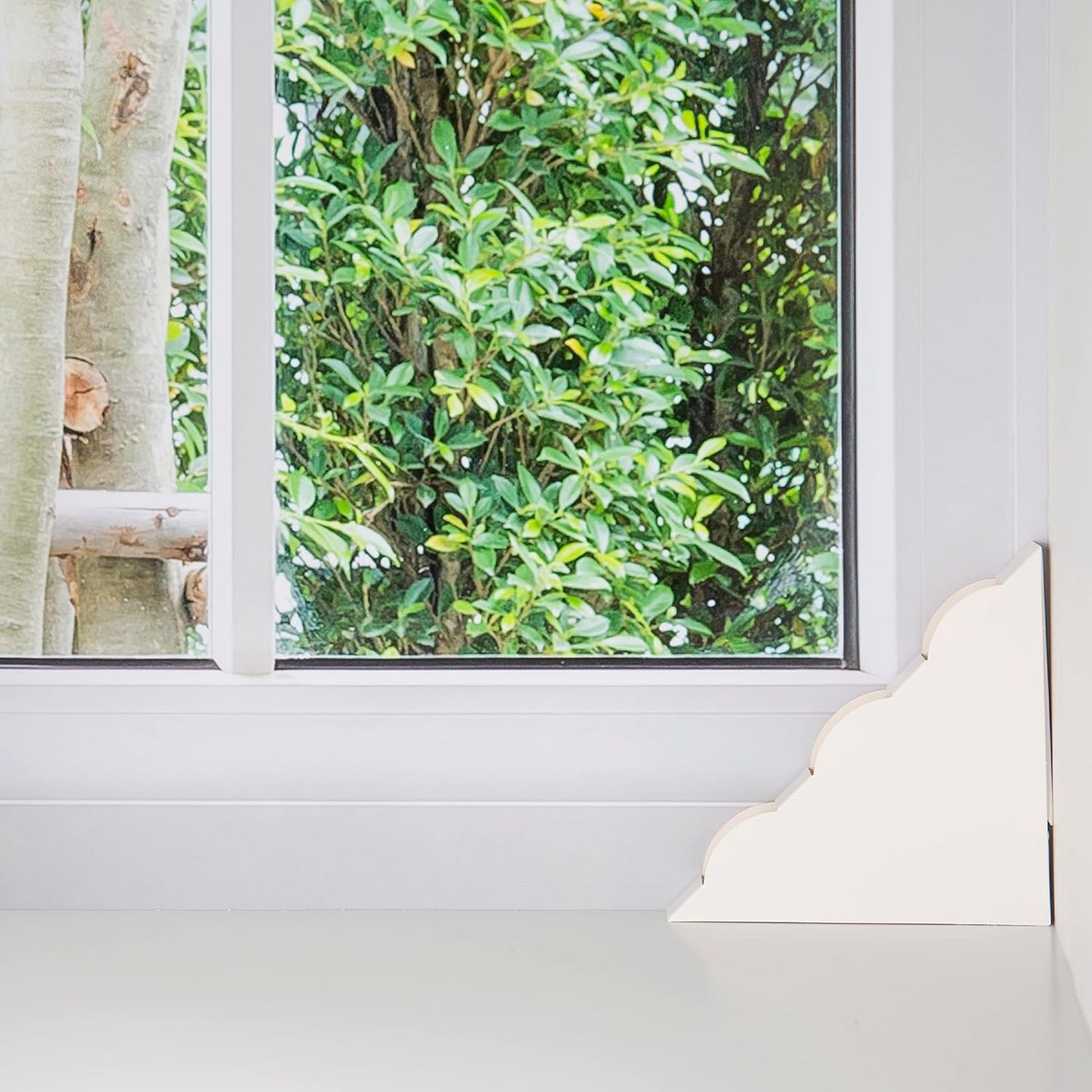 Black Flag, Fly Window Trap, 4-count, Clear