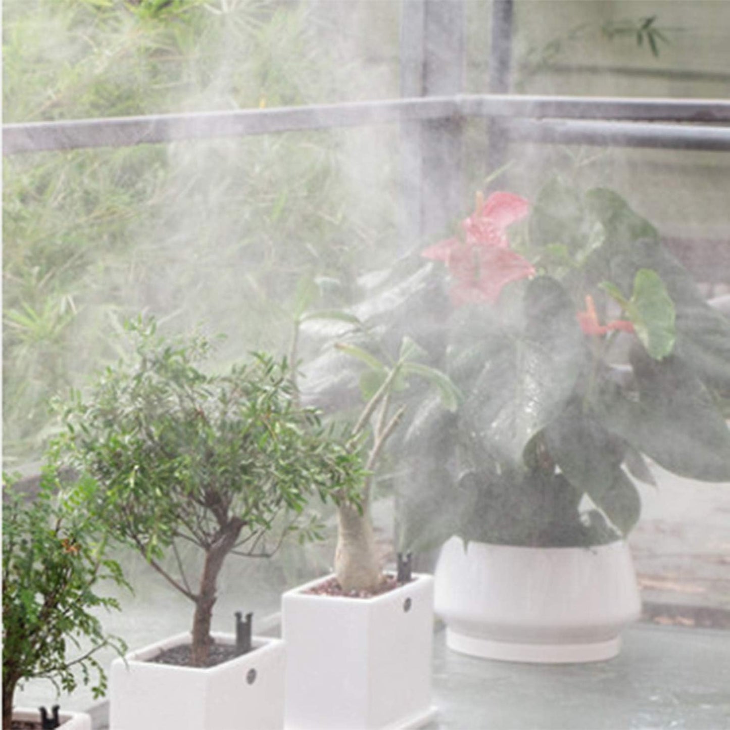 Brass Misting Nozzles 0.016" Orifice (0.4mm) 10/24 UNC, Water Mister Parts Fog Nozzles for Patio Misting System Outdoor Cooling System (20) Y-20PCS