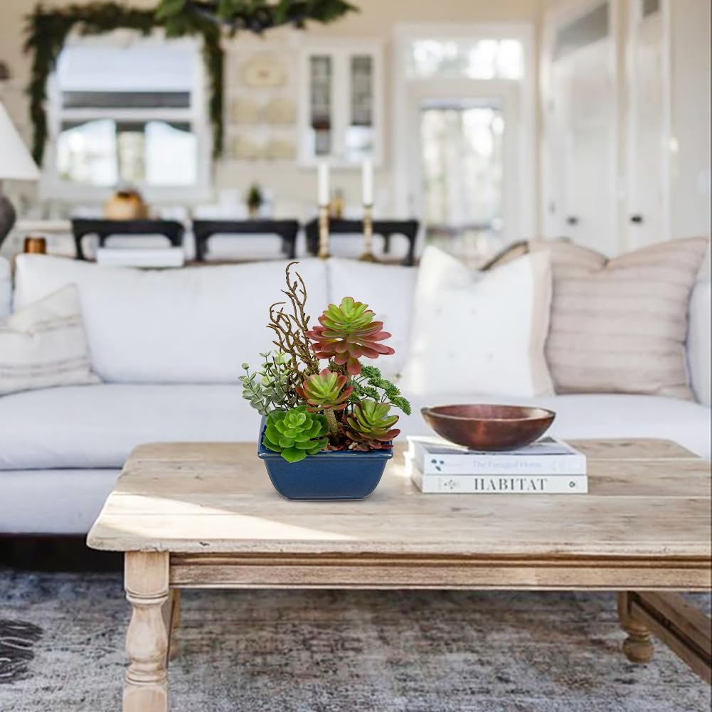 Small Faux Plant Assorted Fake Succulents Plants with Glazed Ceramic Pot Faux Succulents Arrangement Cement Potted Desk Plants Small Fake Plants for Home Table Office Bathroom Shelf Living Room Decor