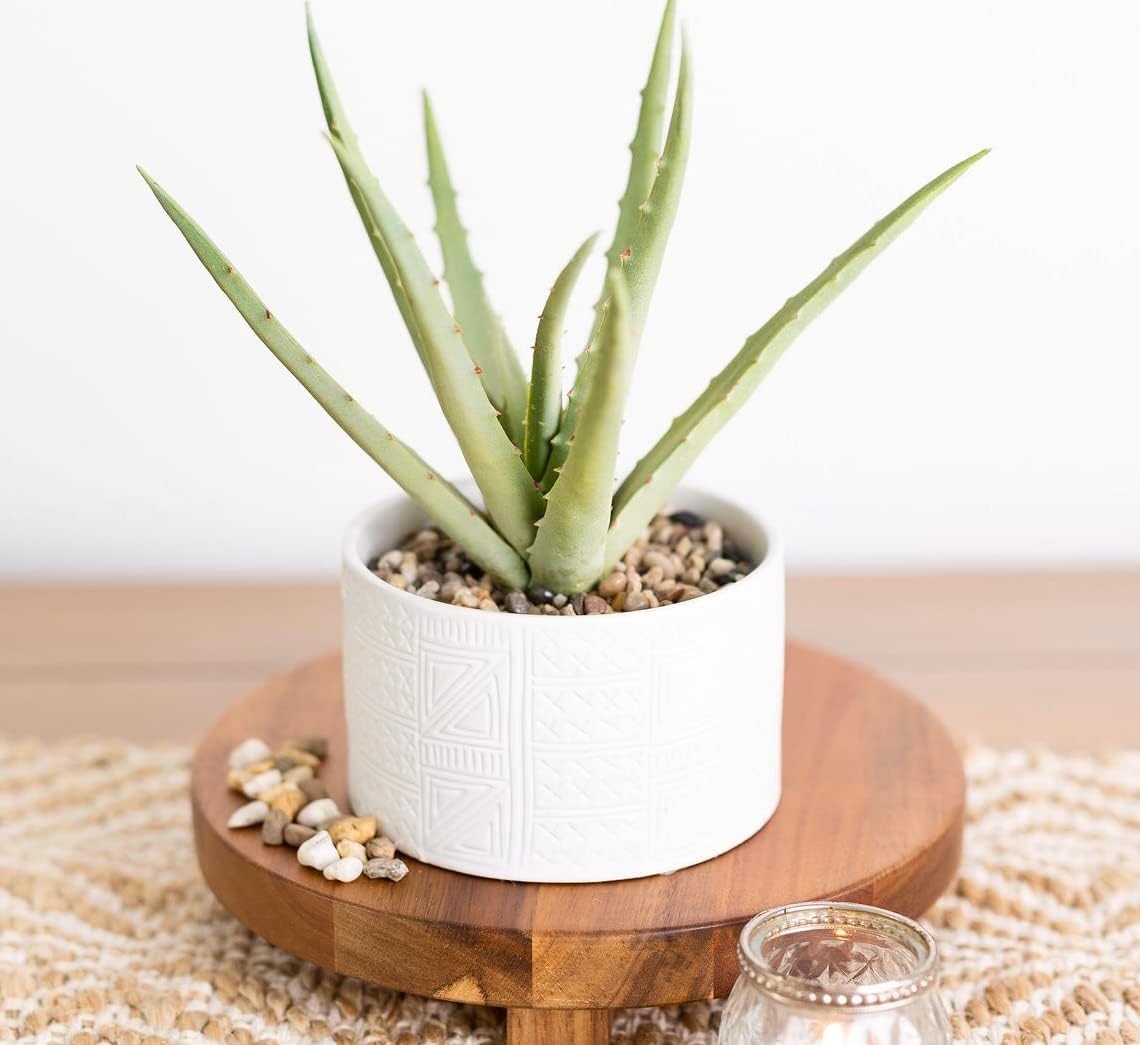 Artificial plant in white ceramic pot | 10" high sage green faux agave plant in white pot | fake plant for desk decor | Artificial agave for home decor indoor | Artificial succulent for shelf decor