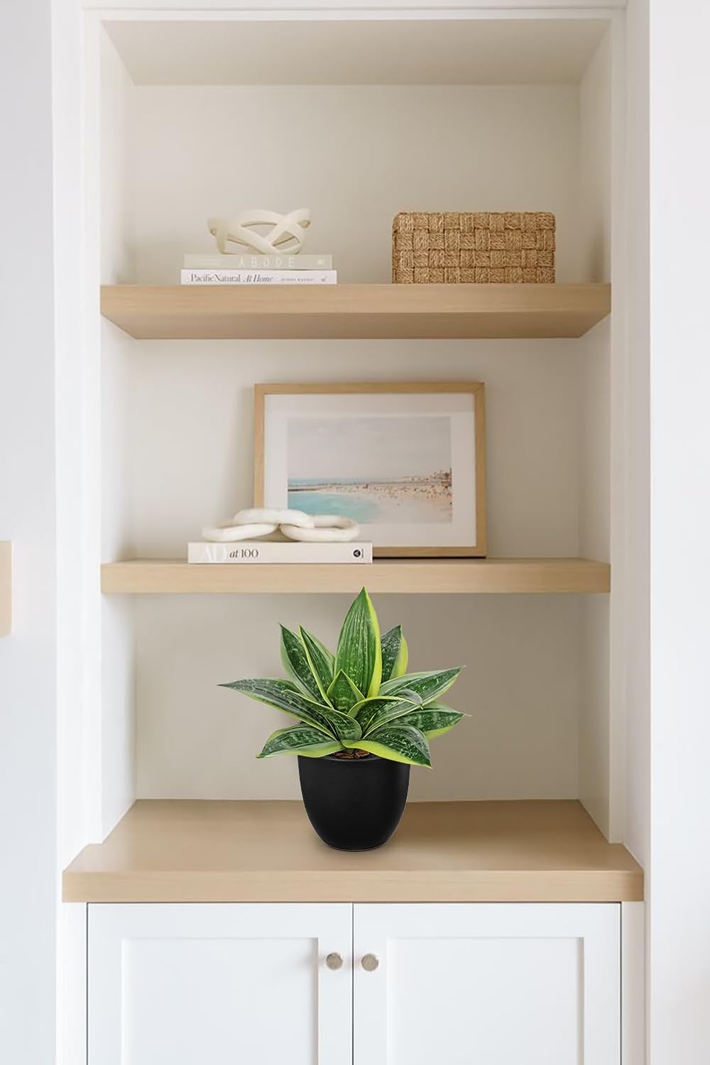 Hollyone Artificial Snake Plants 9" Faux Agave Succulent Plant Potted in Black Pot Fake Sansevieria Aloe Tropical Plant for Desk Modern Office Home Bathroom Indoor Outdoor Decor