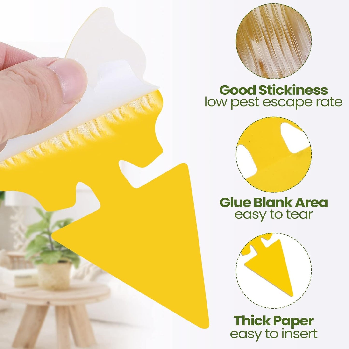 200 Sheets Fruit Fly Sticky Traps for Fruit Fly Gnat Trap for House Indoors Sticky Traps Catcher for Gnats Fungus Gnats Mosquito Catcher for Kitchen Outdoor Plants(Yellow)