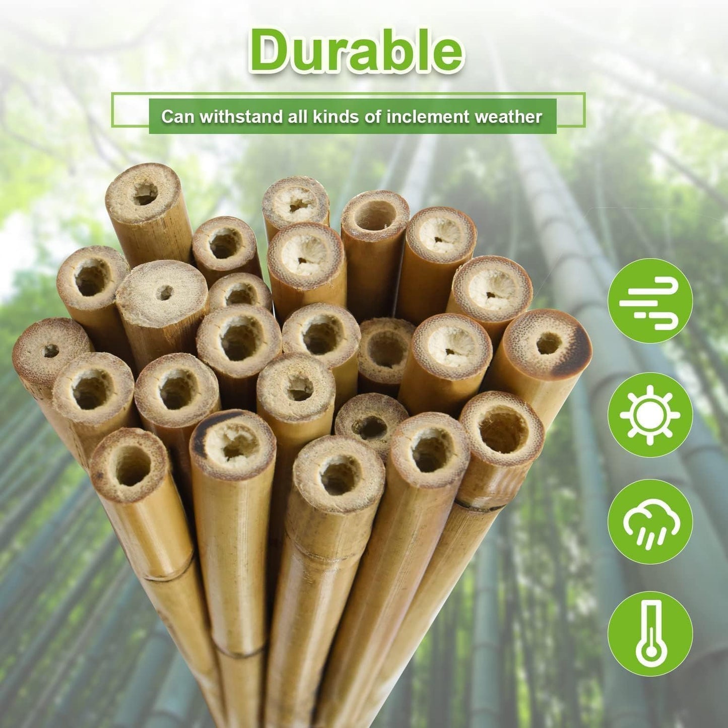 1/2" D 4.75 Feet Bamboo Stakes 50 Pack, Thicker Heavy-Duty Plant Stakes, Natural Garden Stakes for Bean, Tomato, Bean, Flowers,Trees Potted and Climbing Plant Support
