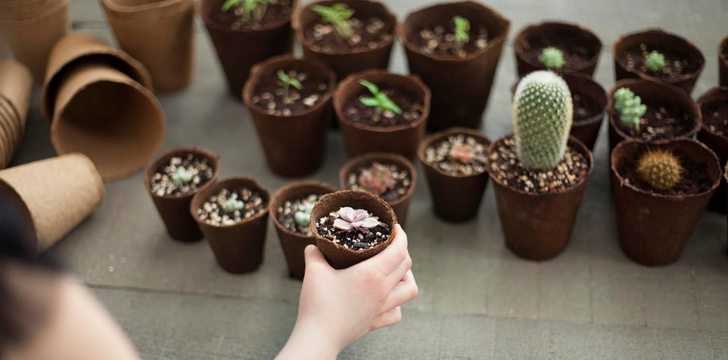 Daniel's Plants 4" Naked Pots | Large Natural Plantable Seed Starter Pots | OMRI-Listed Biodegradable for Seedlings | Enhanced Aeration | Earth Friendly - Peat Free | 10 Pack 4 Inch Round