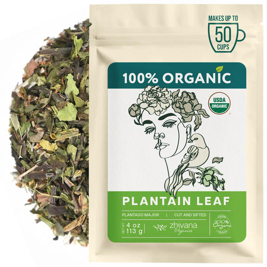 Plantain Leaf Organic (4 oz.) – Broadleaf Plantain Tea Loose Leaf (Plantago Major) – Llanten Planta Medicinal - Herbal Tea for Digestion, Respiratory Health & Detox