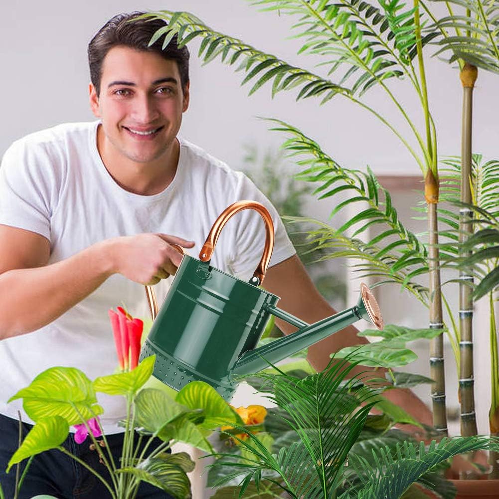 1 Gallon Metal Watering Can with Removable Spout, Nice Galvanized Steel Water Can with Embossed Design for Indoor and Outdoor Plants