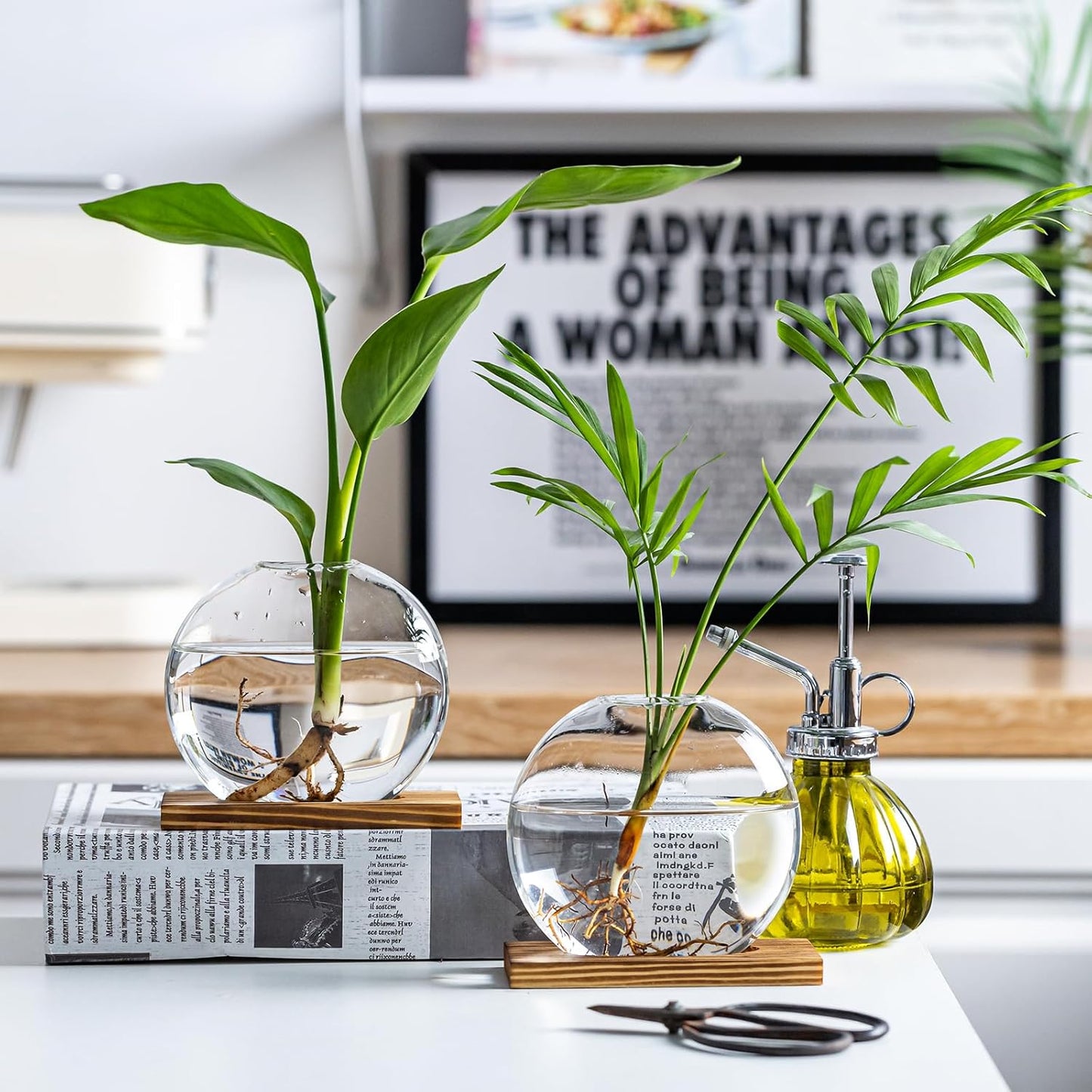 Glass Planter Propagation Station with Wooden Base - Clear Oblate Hydroponic Vase, Decorative Desktop Flower Vase for Home, Office, Windowsill - Gift for Plant Lovers (4)