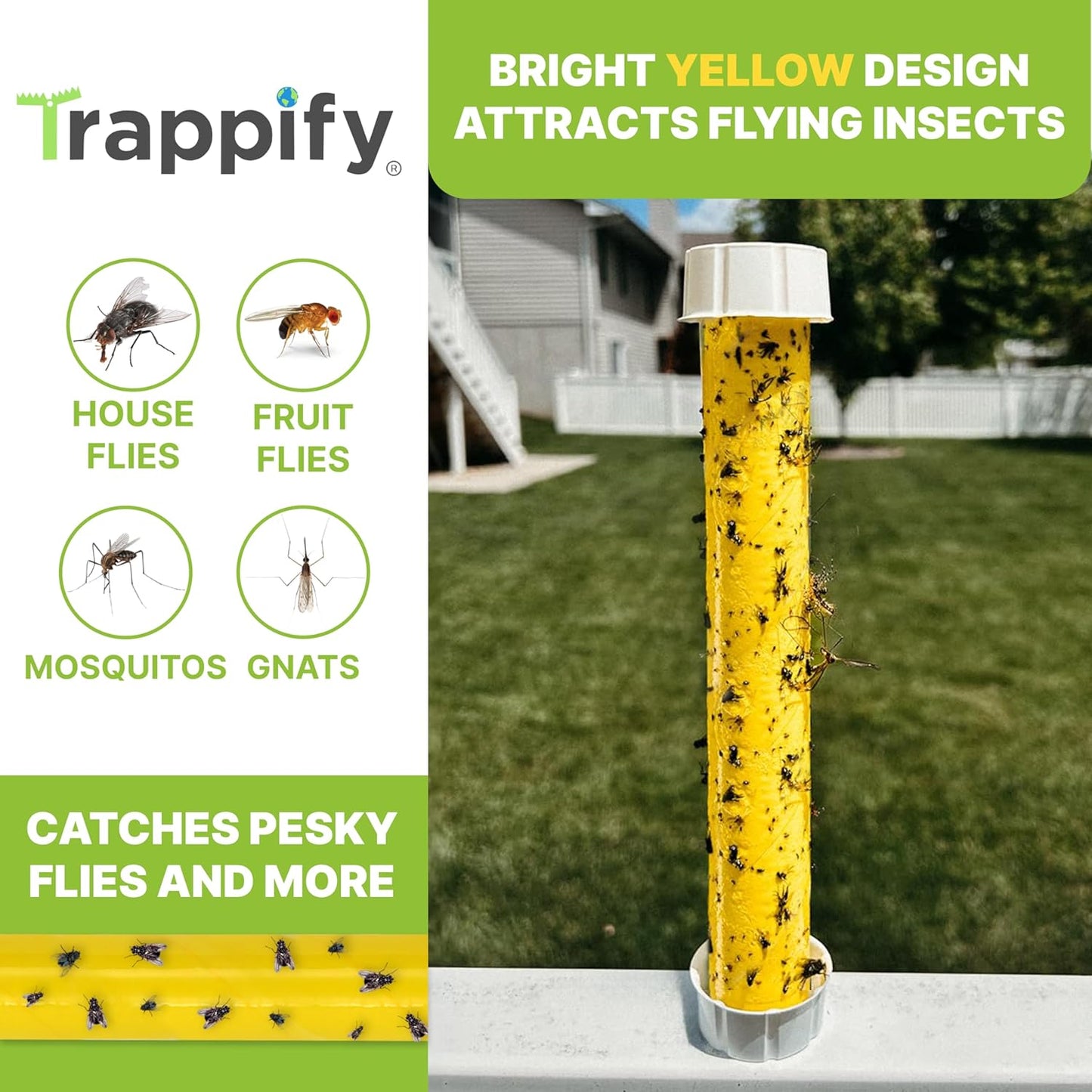 Trappify Hanging Fly Traps Outdoor: Fruit Fly Traps for Indoors | Gnat Trap | Gnat Traps for House Indoor | Fly Trap Indoor - Disposable Sticky Fly Trap for Indoor House Pest Control (2 Pack)